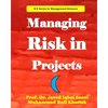 Managing Risk in Projects - Paperback