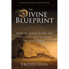 The Divine Blueprint: Temples, power places, and the global plan to shape the human soul. - Paperback