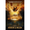 The Sandbox - Hardcover