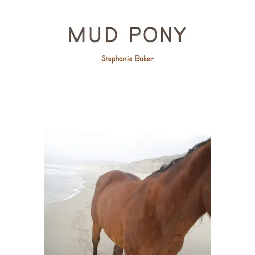Mud Pony - Paperback