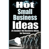 Hot Small Business Ideas: 25 Smokin' Hot Start Up Business Ideas To Spark Your Entrepreneurship Creativity And Have You In Business Fast! - Paperback