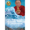 A Gentle Rain of Compassion - Paperback