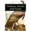 Turkeys, Ducks and Geese: Breeding, Hatching and Rearing For Pleasure or Profit - Paperback