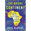 The Bright Continent: Breaking Rules and Making Change in Modern Africa - Paperback