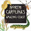 North Carolina's Amazing Coast: Natural Wonders from Alligators to Zoeas - Paperback
