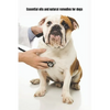 Essential Oils and Natural Remedies for Dogs: Comprehensive Guide To Keep Your Dog Healthy - Paperback