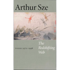 The Redshifting Web: New & Selected Poems - Paperback