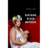 Birthing Black Mothers - Paperback