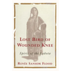 Lost Bird of Wounded Knee: Spirit of the Lakota - Paperback