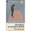 Sunshine on an Open Tomb - Paperback