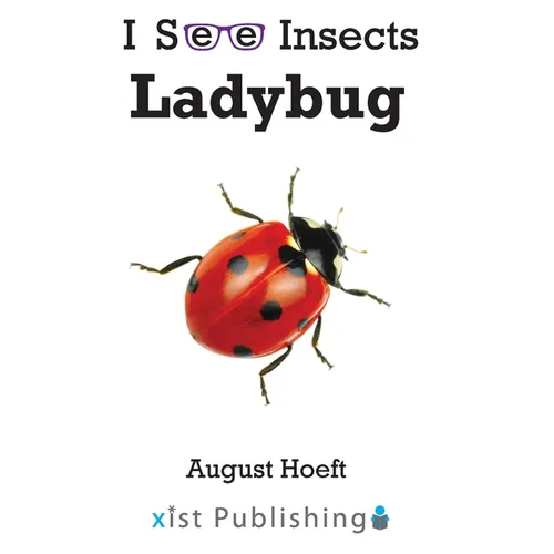 Ladybug - Paperback