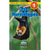Bats / Murciélagos: Bilingual (English / Spanish) (Inglés / Español) Animals That Make a Difference! (Engaging Readers, Level 1) - Hardcover