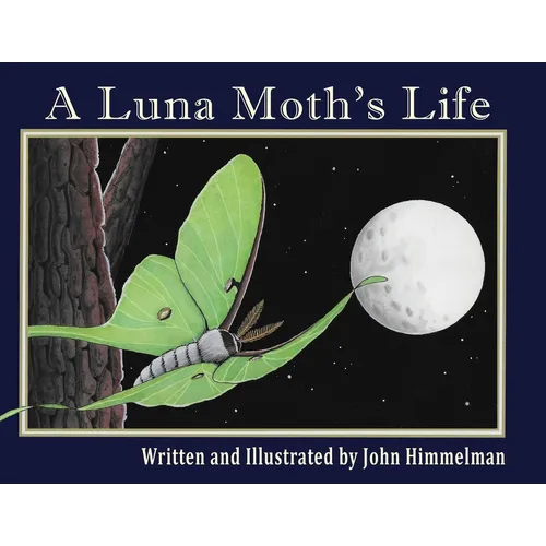 A Luna Moth's Life - Paperback
