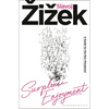 Surplus-Enjoyment: A Guide for the Non-Perplexed - Hardcover