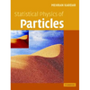 Statistical Physics of Particles - Hardcover