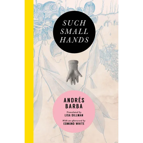 Such Small Hands - Paperback