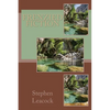 Frenzied Fiction - Paperback