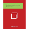 The Illustrated Dictionary of Words Used in Art and Archeology - Paperback