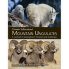 Greater Yellowstone's Mountain Ungulates: A Contrast in Management Histories and Challenges: A - Paperback