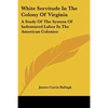 White Servitude In The Colony Of Virginia: A Study Of The System Of Indentured Labor In The American Colonies - Paperback