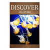 Jellyfish - Discover: Early reader's wildlife photography book - Paperback