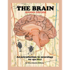The Brain; Second edition - Paperback