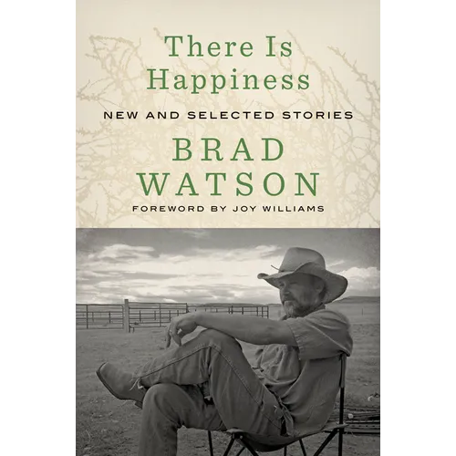 There Is Happiness: New and Selected Stories - Hardcover
