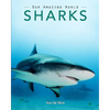 Sharks: Amazing Pictures & Fun Facts on Animals in Nature - Paperback