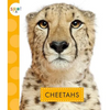 Cheetahs - Paperback