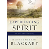 Experiencing the Spirit: The Power of Pentecost Every Day - Paperback