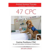 47 Canine Positions CTAC - Animal Assisted Therapy: for early stimulation and physical rehabilitation - Paperback