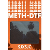 Meth-DTF. - Paperback