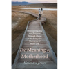 The Meaning of Motherhood: Discovering Joy and Purpose Through Christ in the Everyday Moments of Mom Life - Hardcover