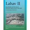 Lahav II: Households and the Use of Domestic Space at Iron II Tell Halif: An Archaeology of Destruction - Hardcover