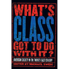 What's Class Got to Do with It?: American Society in the Twenty-First Century - Paperback
