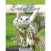 Understanding the Bird of Prey - Paperback
