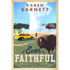 Ever Faithful: A Vintage National Parks Novel - Paperback