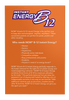 Instant Energy B12