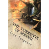 The Torrents of Spring - Paperback