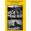 The Auriferous Gravels of California - Paperback