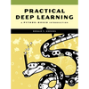 Practical Deep Learning: A Python-Based Introduction - Paperback