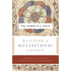 Building a Multiethnic Church: A Gospel Vision of Love, Grace, and Reconciliation in a Divided World - Paperback