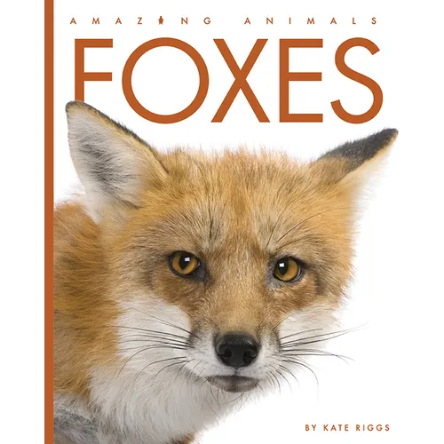 Foxes - Paperback