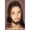 Docenario de la infinita misericordia del Sagrado Corazón de Jesús - Paperback