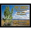 Pot Shots The Journey of a HIGH TIMES Photographer - Paperback