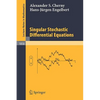 Singular Stochastic Differential Equations - Paperback