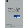 Now My Eyes Have Seen You: Images of Creation and Evil in the Book of Job Volume 12 - Paperback