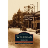 Waukegan, Illinois - Hardcover