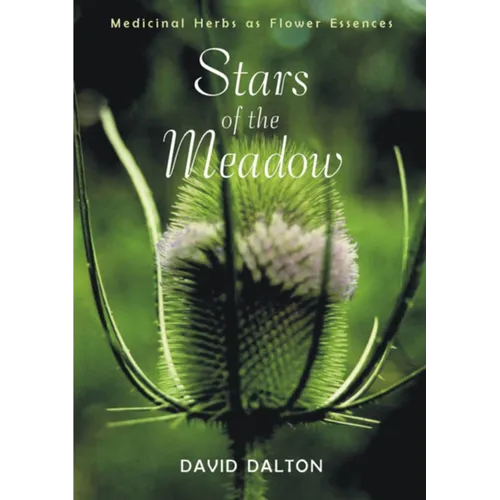 Stars of the Meadow: Medicinal Herbs as Flower Essences - Paperback