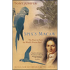 Spix's Macaw: The Race to Save the World's Rarest Bird - Paperback